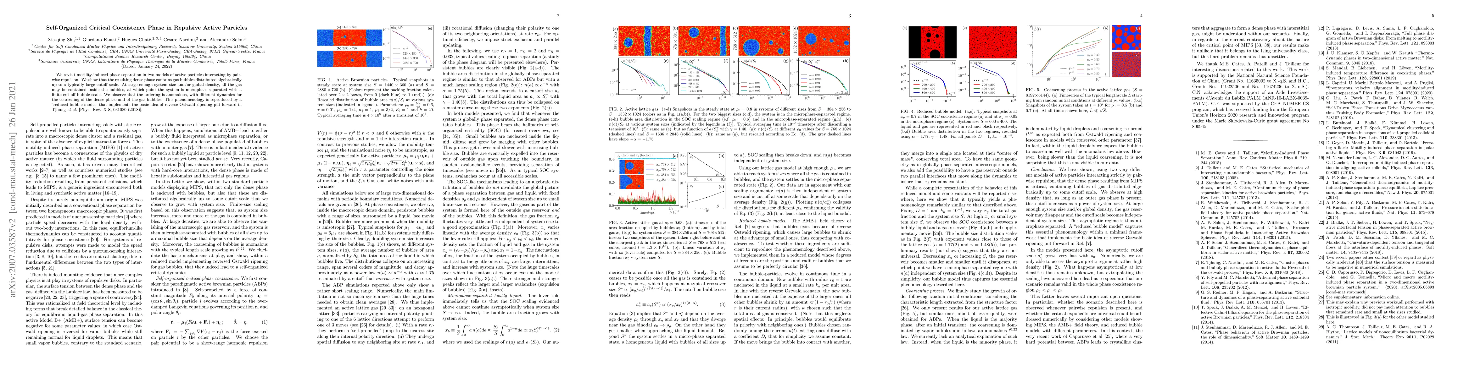 Thumbnail for Self-Organized Critical Coexistence Phase in Repulsive Active Particles