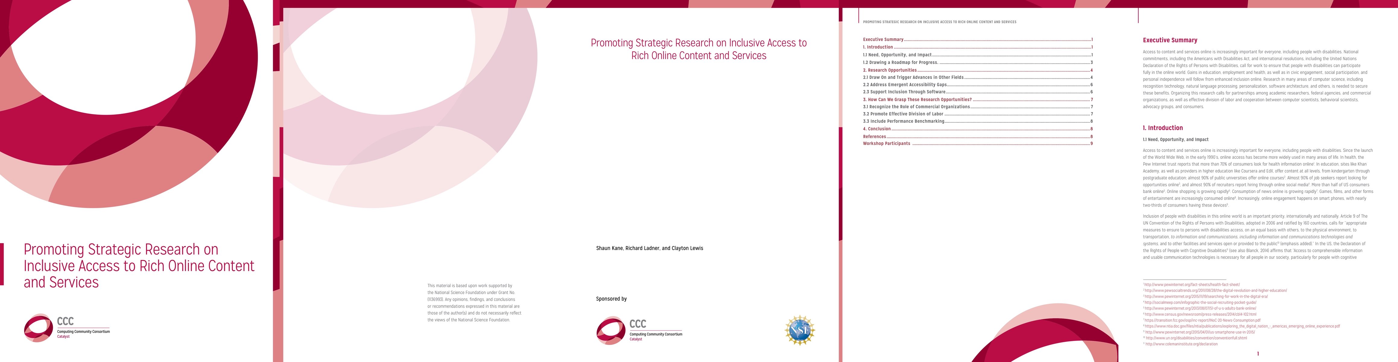 Thumbnail for Promoting Strategic Research on Inclusive Access to Rich Online Content
  and Services