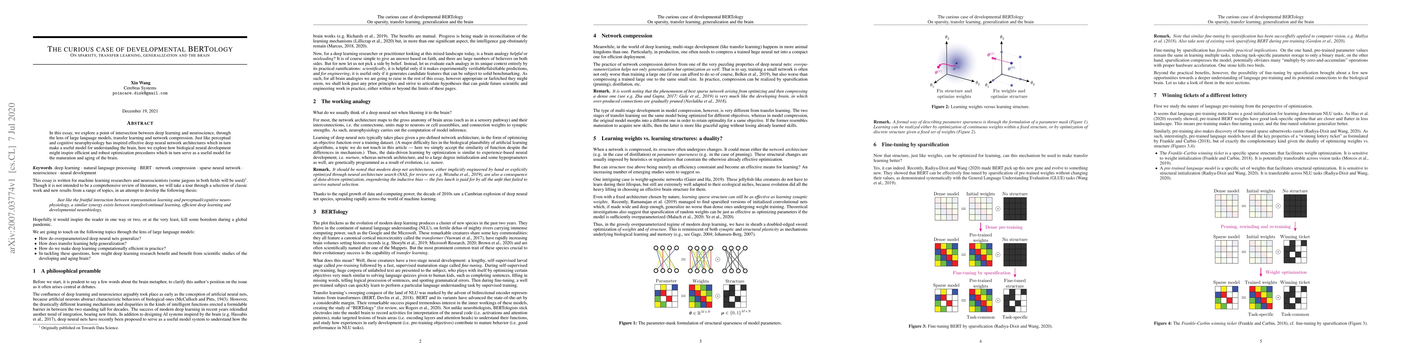 Thumbnail for The curious case of developmental BERTology: On sparsity, transfer
  learning, generalization and the brain