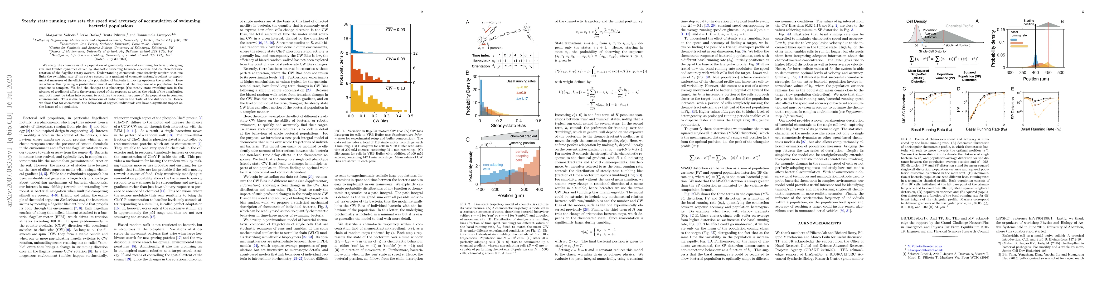 Thumbnail for Steady state running rate sets the speed and accuracy of accumulation of
  swimming bacterial populations