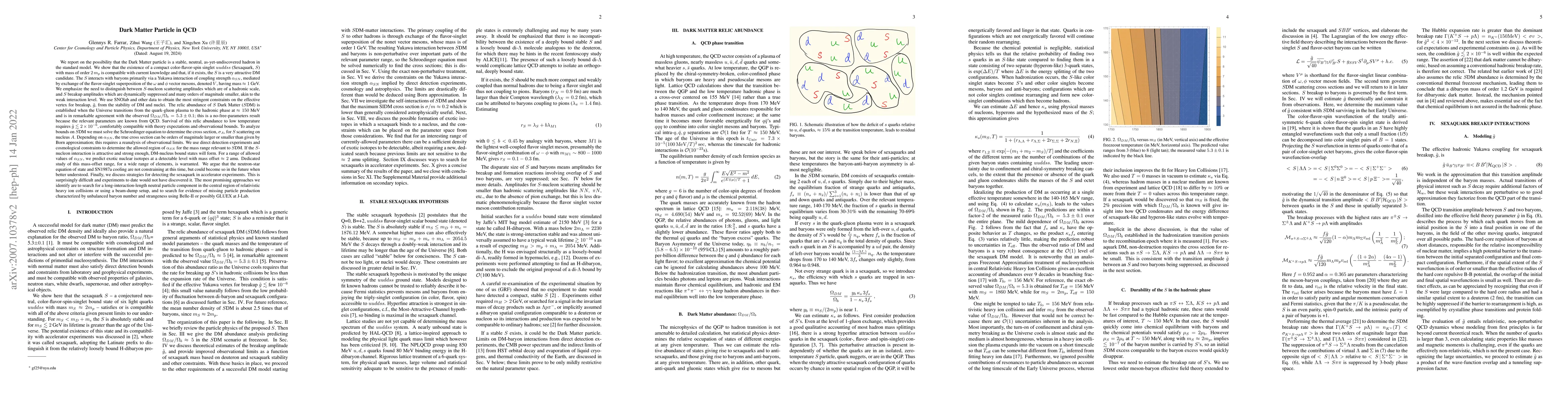 Thumbnail for Dark Matter Particle in QCD