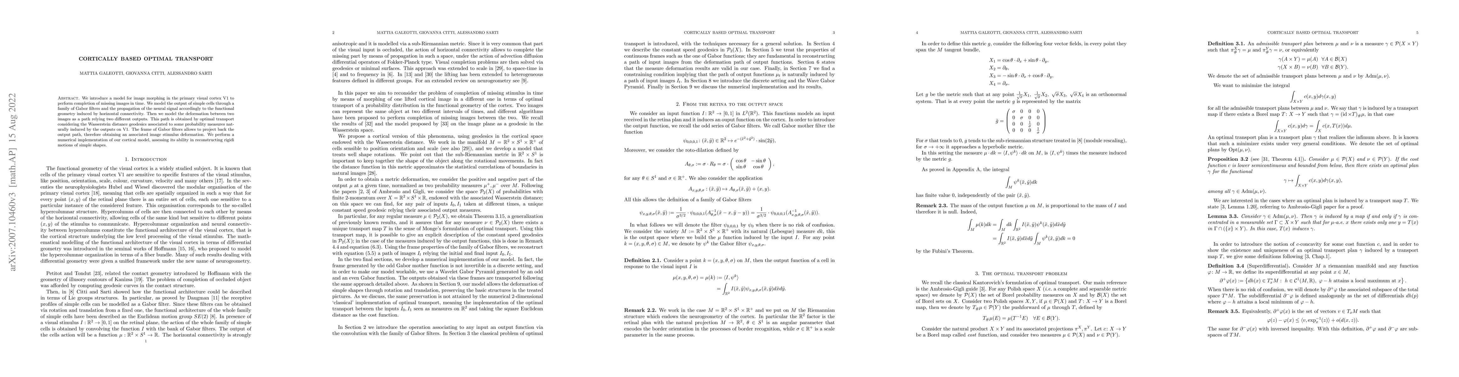 Thumbnail for Cortically based optimal transport