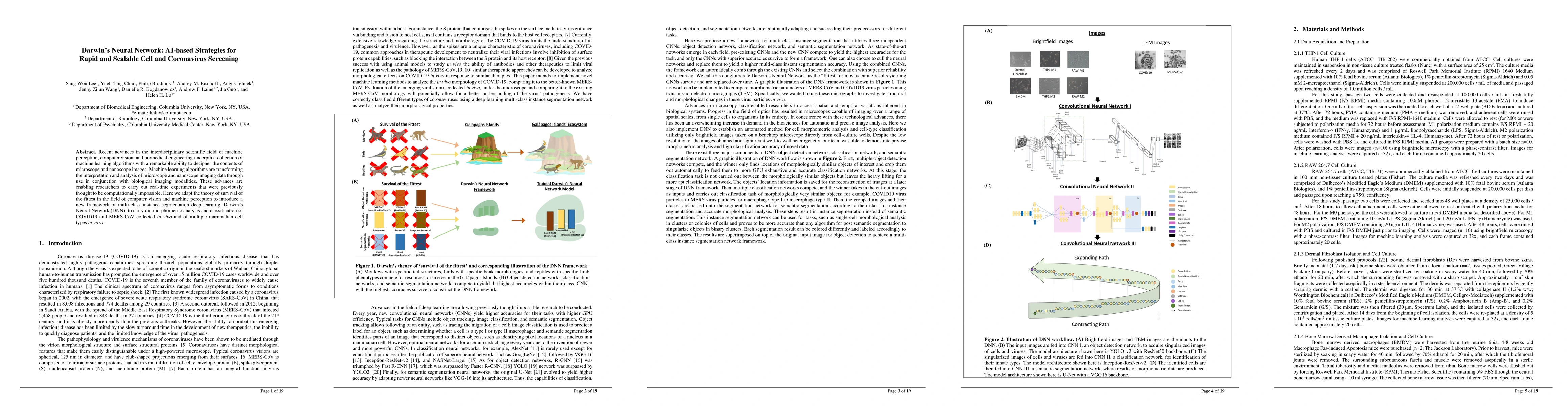 Thumbnail for Darwin's Neural Network: AI-based Strategies for Rapid and Scalable Cell
  and Coronavirus Screening