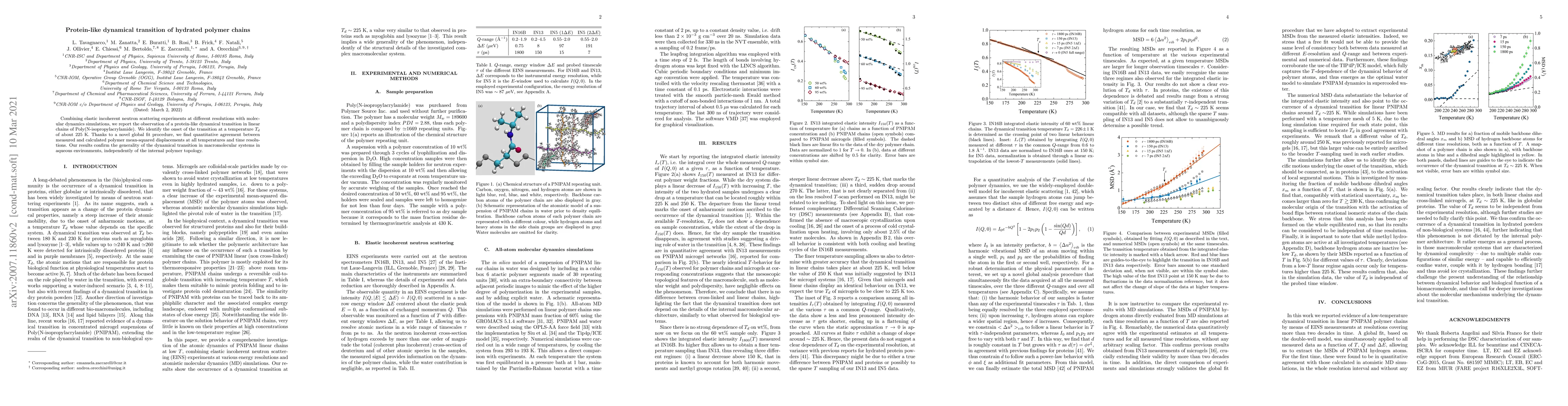 Thumbnail for Protein-like dynamical transition of hydrated polymer chains