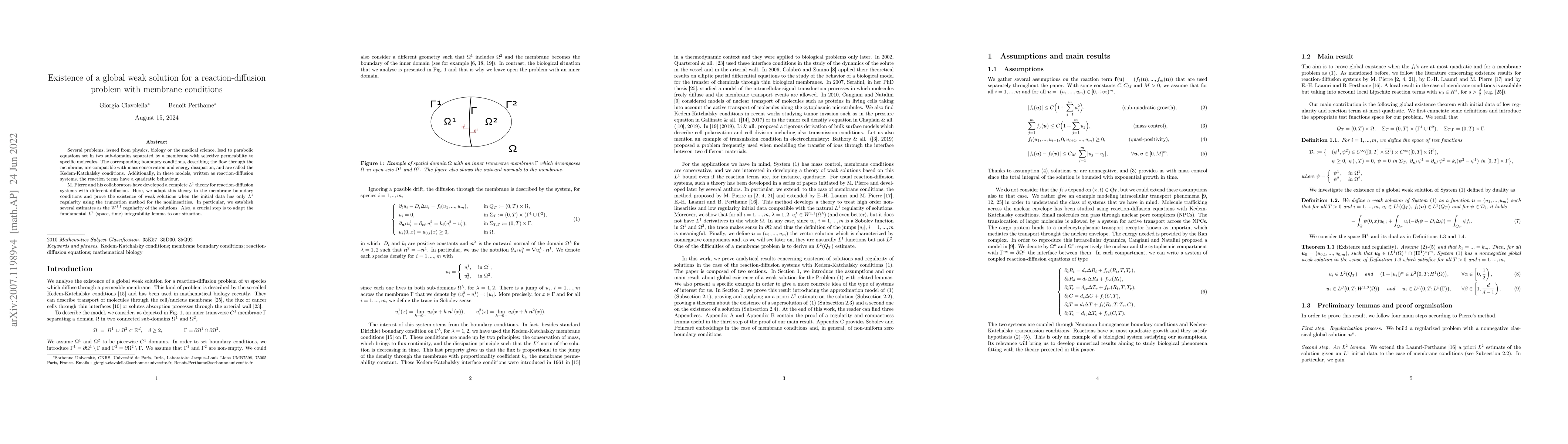 Thumbnail for Existence of a global weak solution for a reaction-diffusion problem
  with membrane conditions