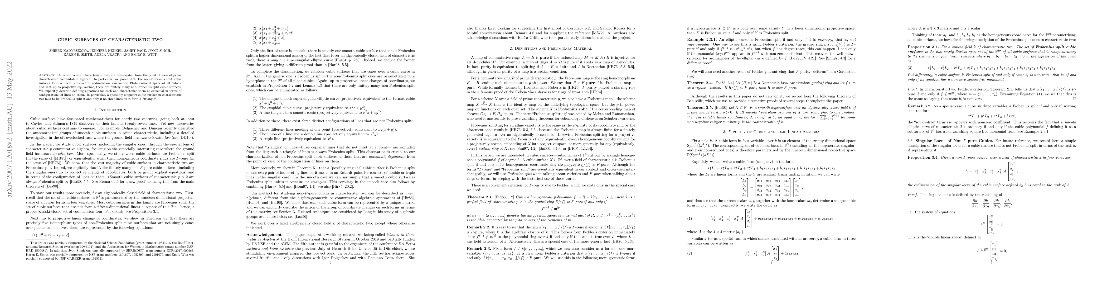 Thumbnail for Cubic Surfaces of Characteristic Two