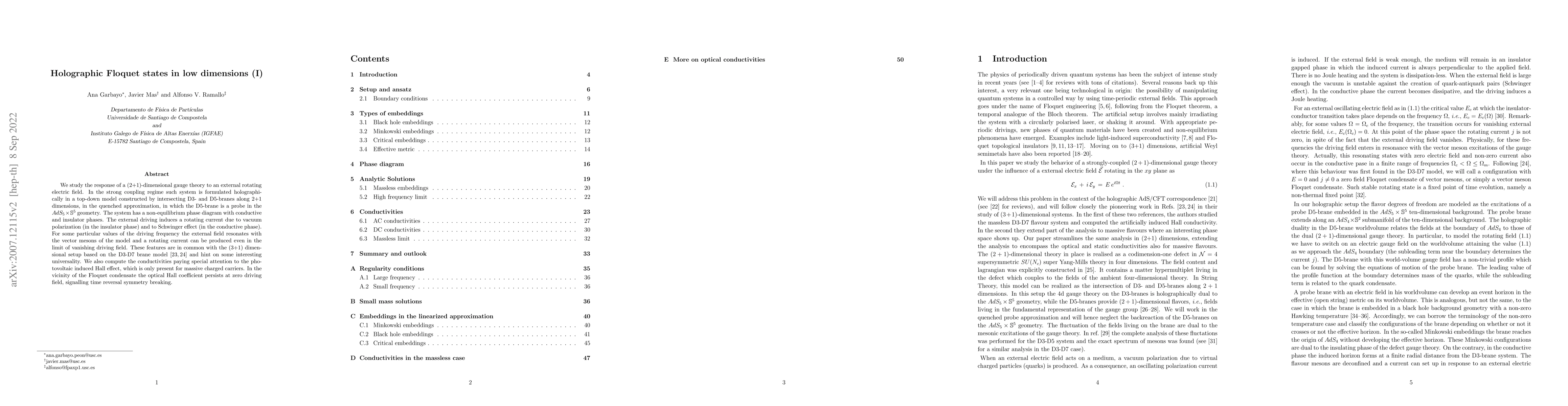 Thumbnail for Holographic Floquet states in low dimensions (I)