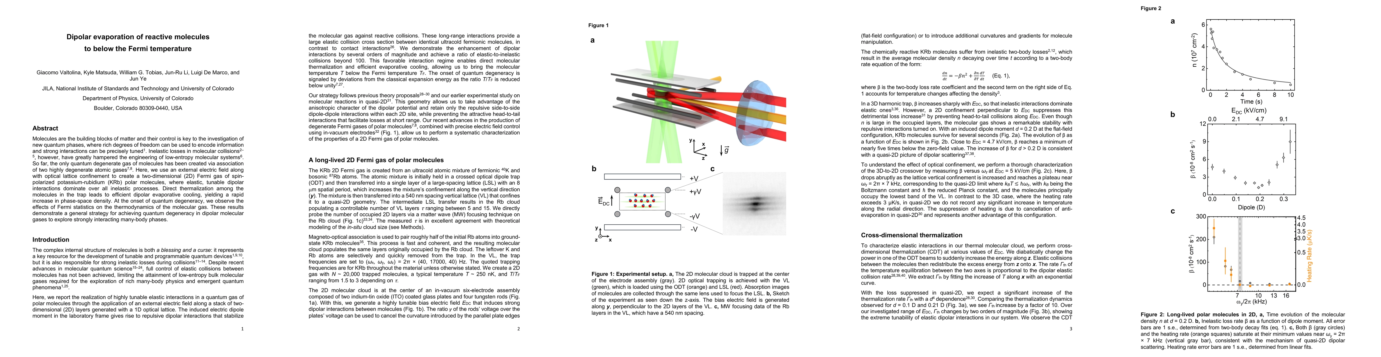 Thumbnail for Dipolar evaporation of reactive molecules to below the Fermi temperature