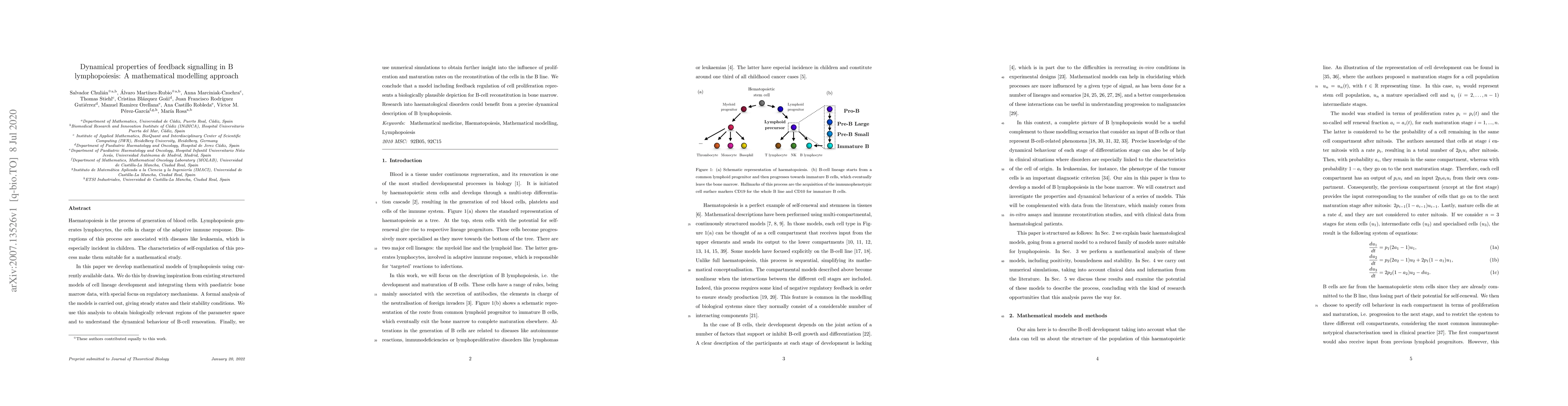 Thumbnail for Dynamical properties of feedback signalling in B lymphopoiesis: A
  mathematical modelling approach