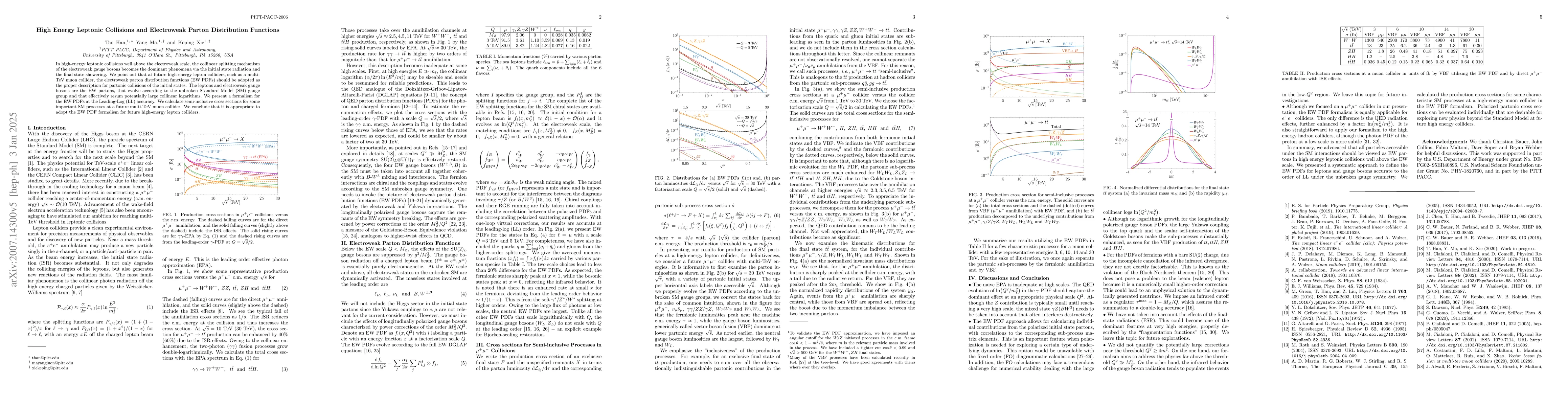 Thumbnail for High Energy Leptonic Collisions and Electroweak Parton Distribution
  Functions