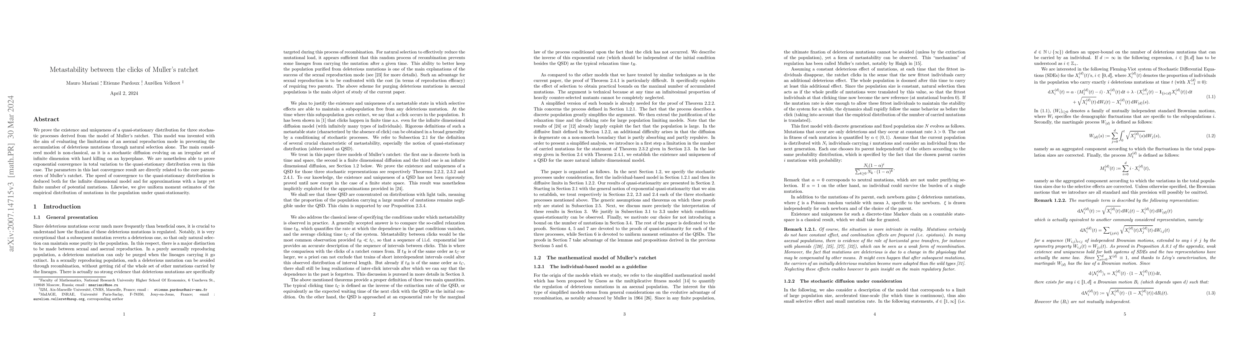 Thumbnail for Metastability between the clicks of Muller's ratchet
