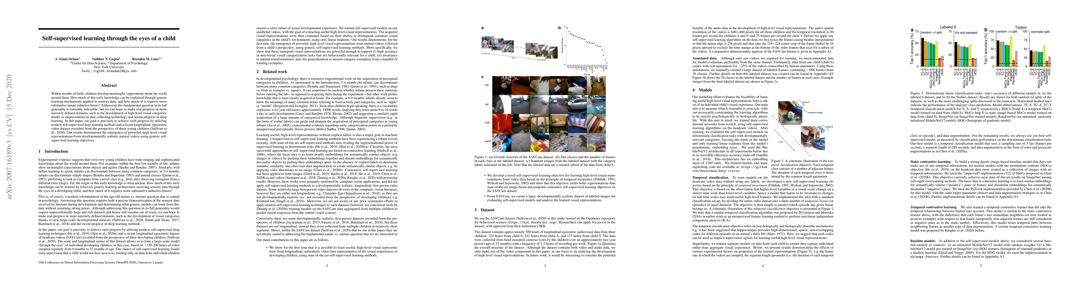 Thumbnail for Self-supervised learning through the eyes of a child