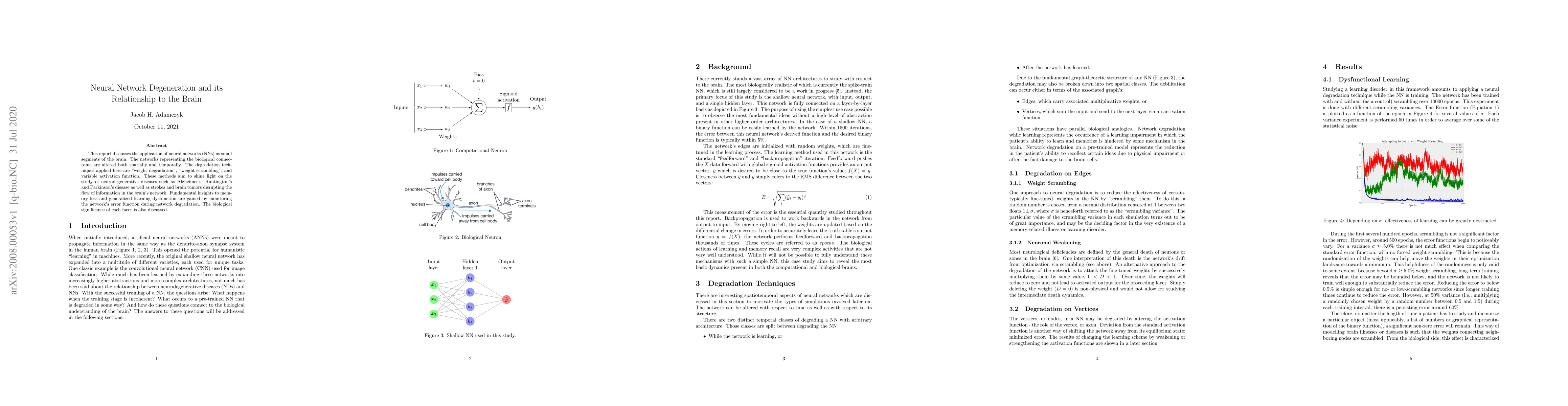 Thumbnail for Neural Network Degeneration and its Relationship to the Brain