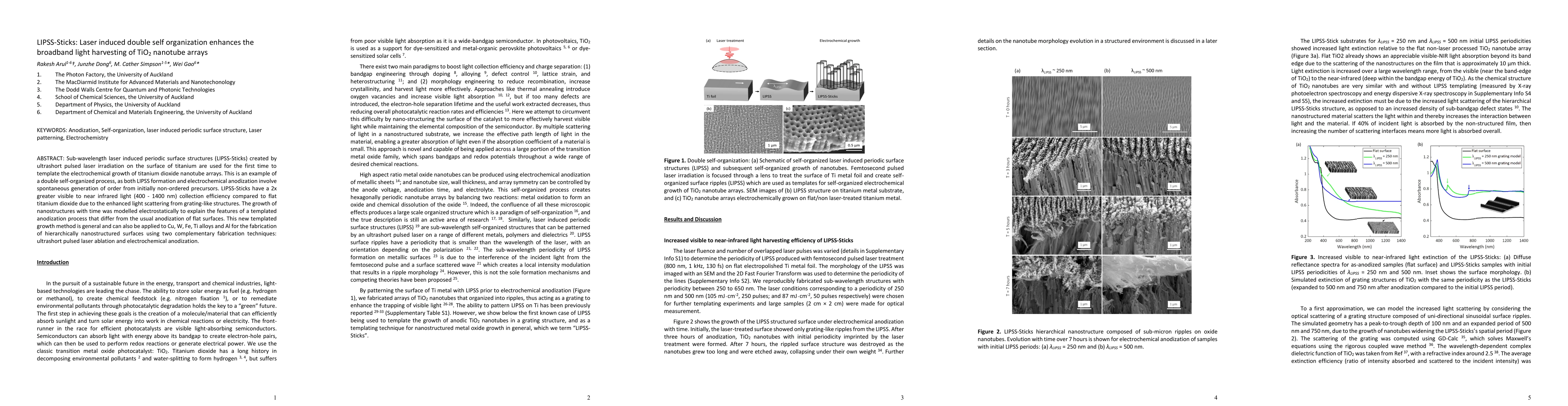 Thumbnail for LIPSS-Sticks: Laser induced double self organization enhances the
  broadband light harvesting of TiO2 nanotube arrays