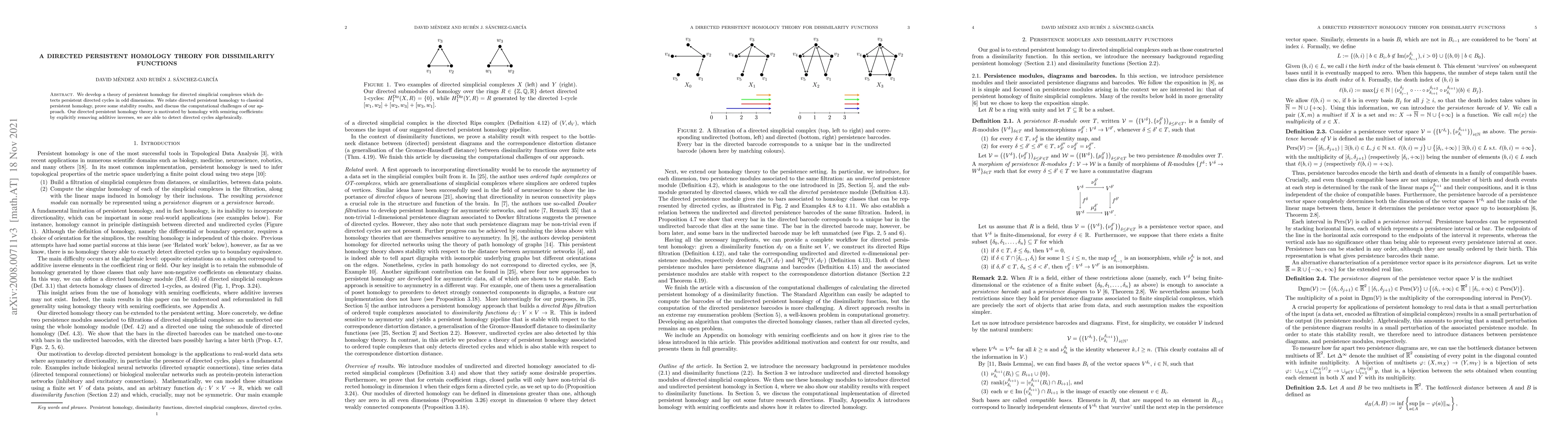 Thumbnail for A directed persistent homology theory for dissimilarity functions
