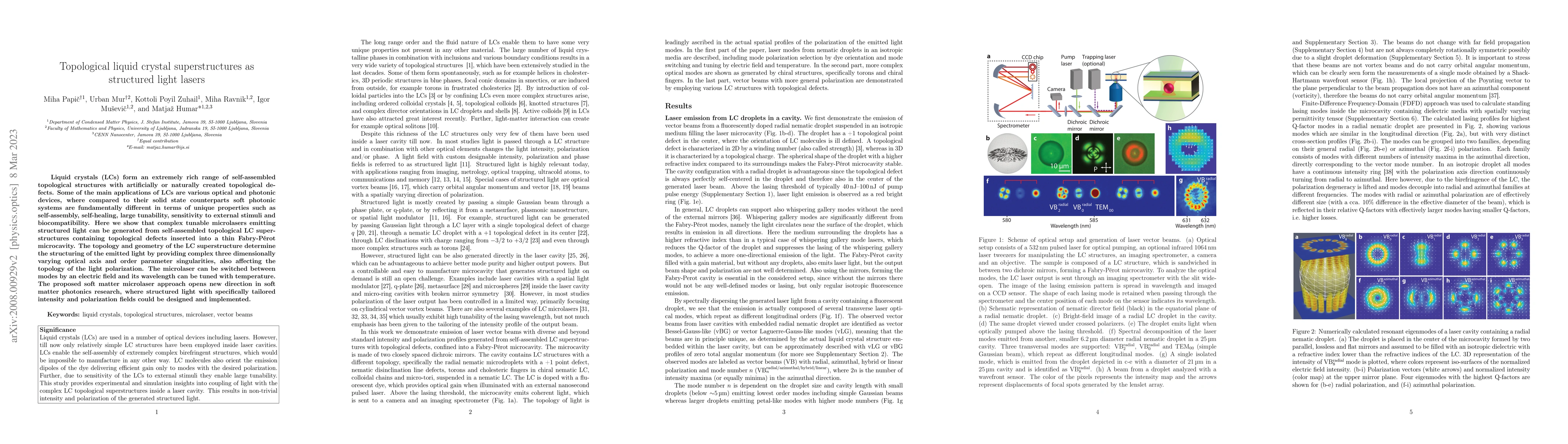 Thumbnail for Topological liquid crystal superstructures as structured light lasers