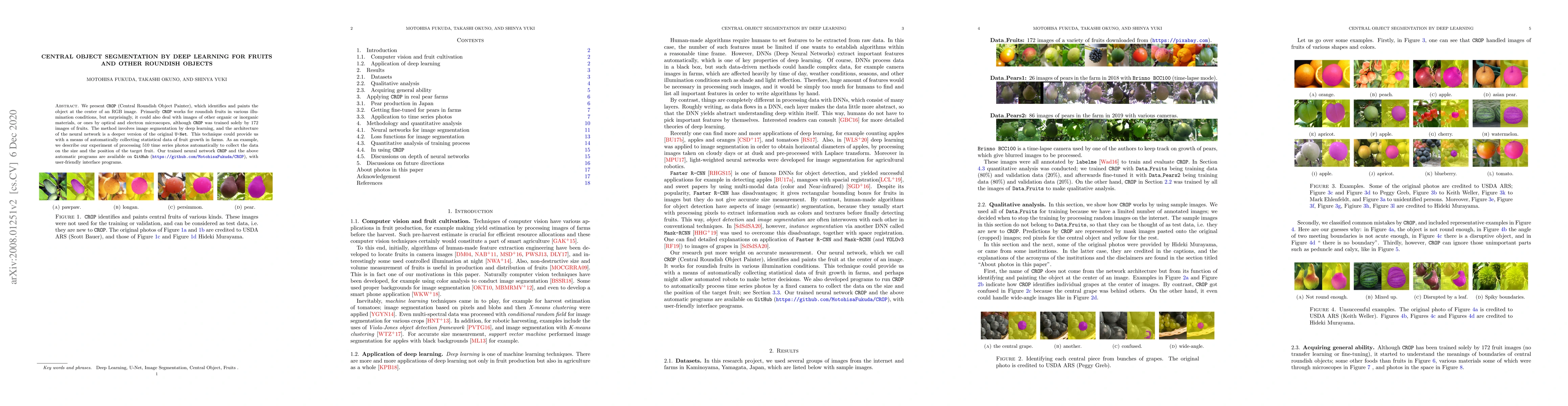 Thumbnail for Central object segmentation by deep learning for fruits and other
  roundish objects