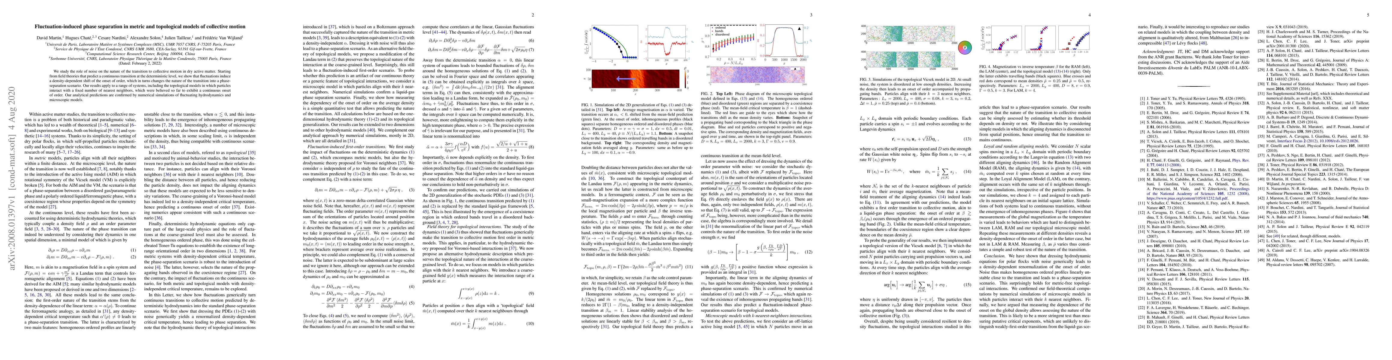 Thumbnail for Fluctuation-induced phase separation in metric and topological models of
  collective motion