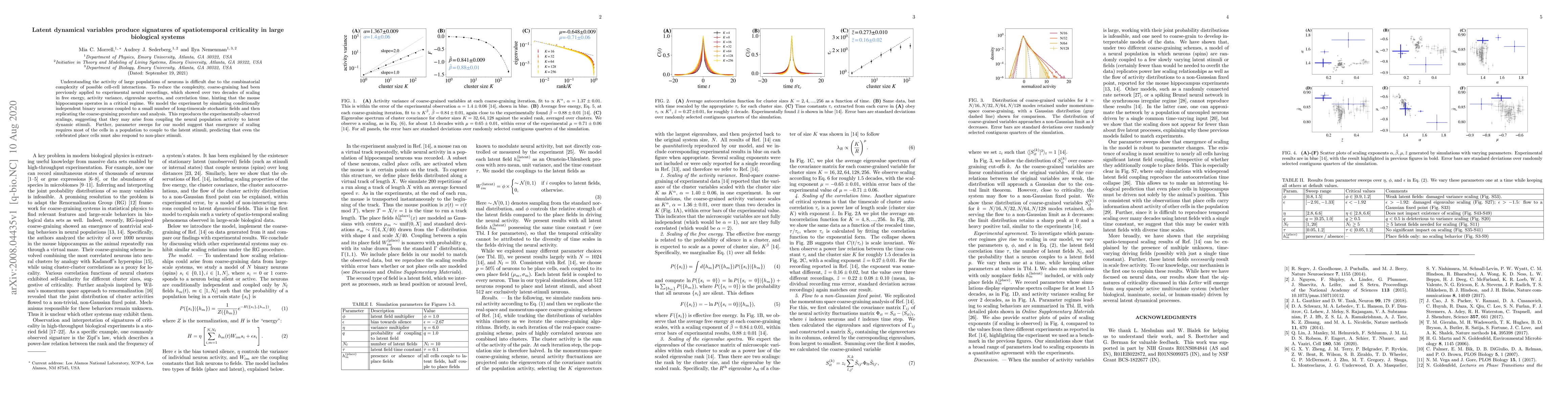 Thumbnail for Latent dynamical variables produce signatures of spatiotemporal
  criticality in large biological systems