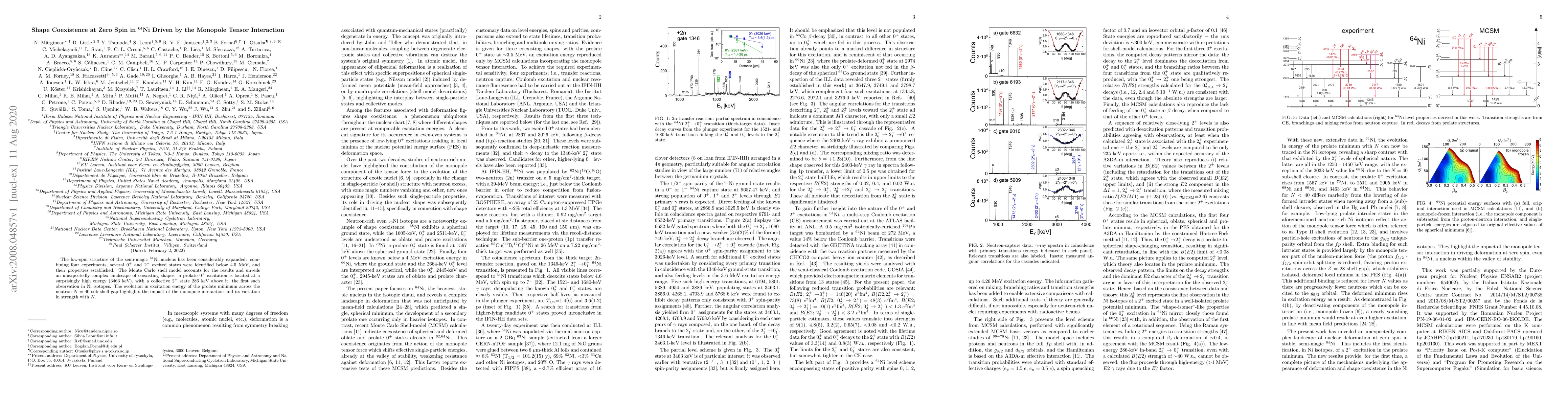 Thumbnail for Shape Coexistence at Zero Spin in 64Ni Driven by the Monopole Tensor
  Interaction