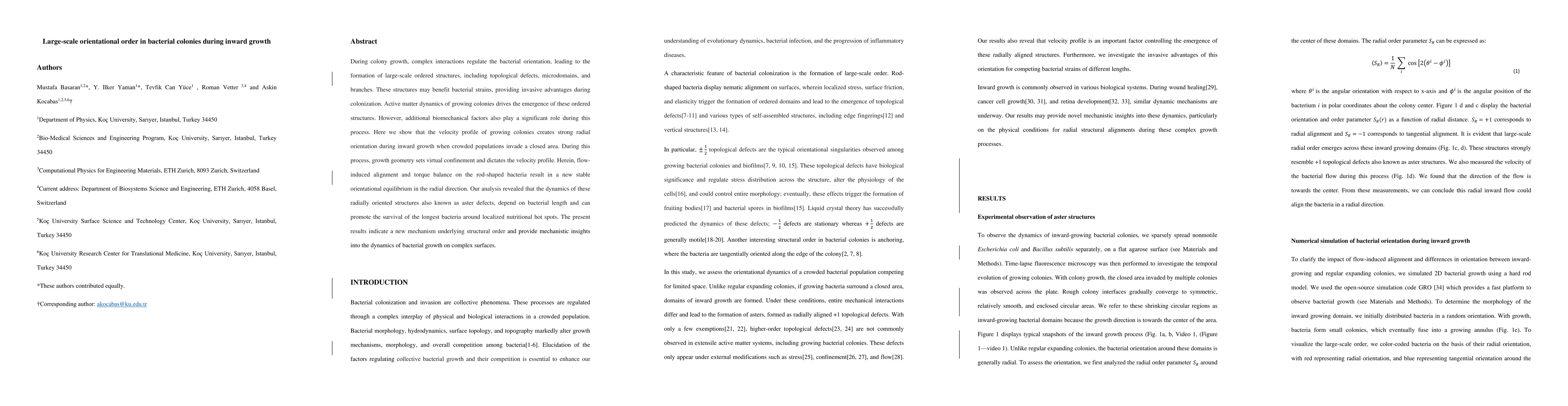 Thumbnail for Large-scale orientational order in bacterial colonies during inward
  growth