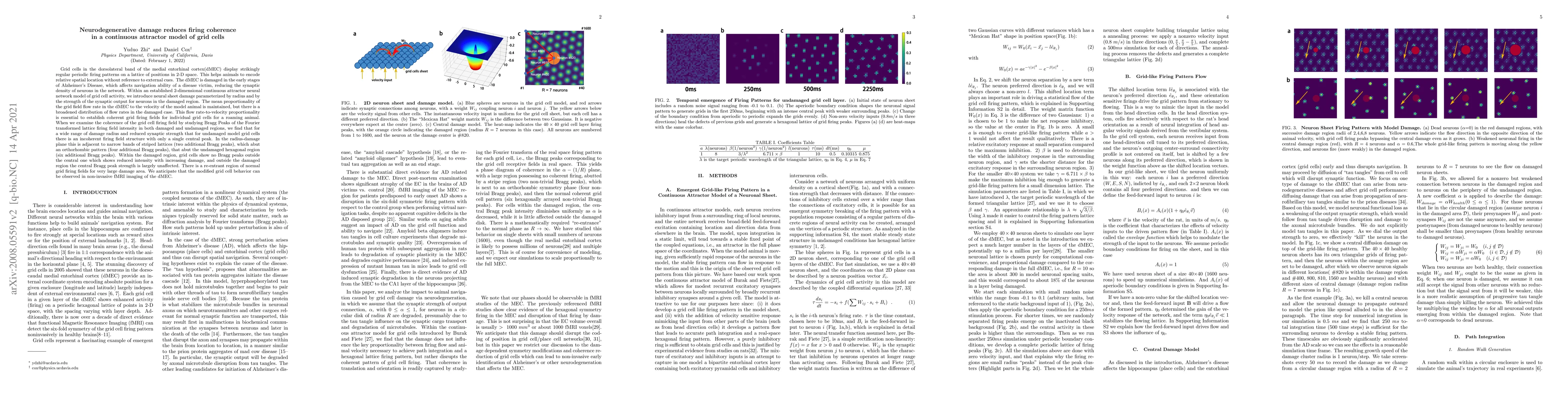 Thumbnail for Neurodegenerative damage reduces firing coherence in a continuous
  attractor model of grid cells