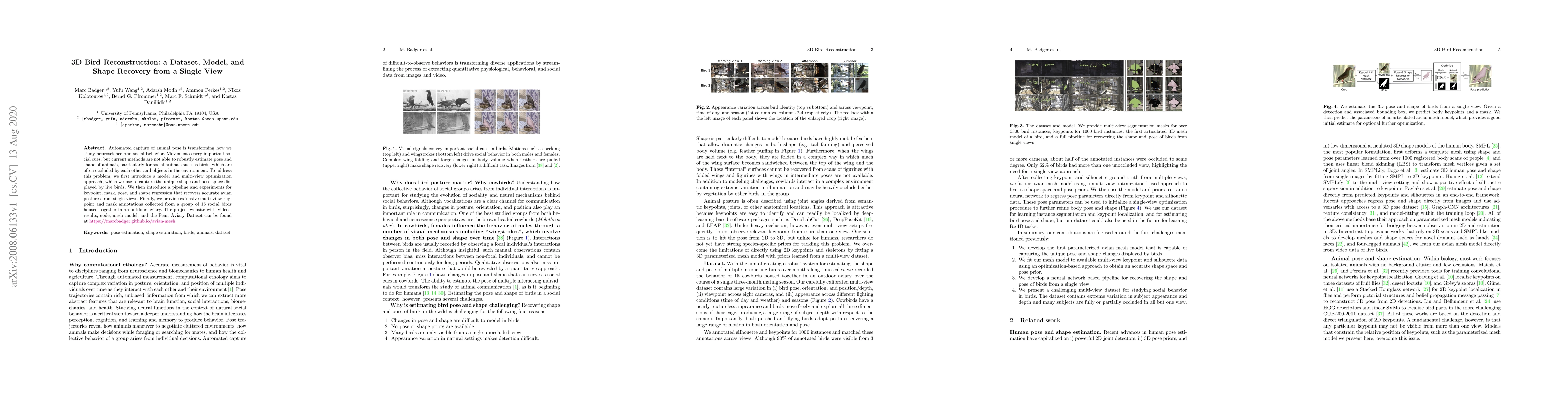 Thumbnail for 3D Bird Reconstruction: a Dataset, Model, and Shape Recovery from a
  Single View