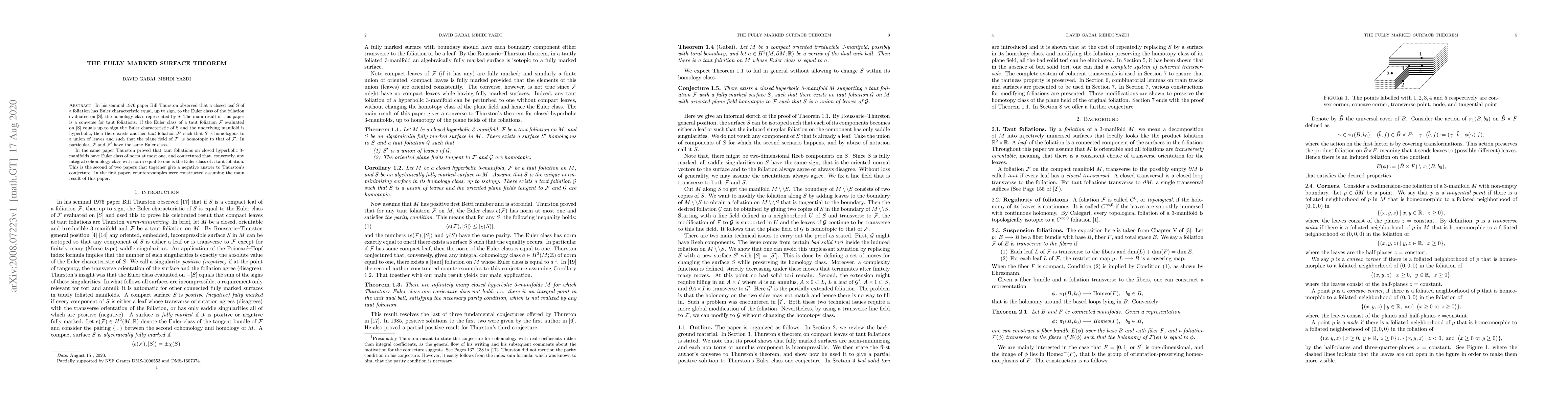 Thumbnail for The fully marked surface theorem