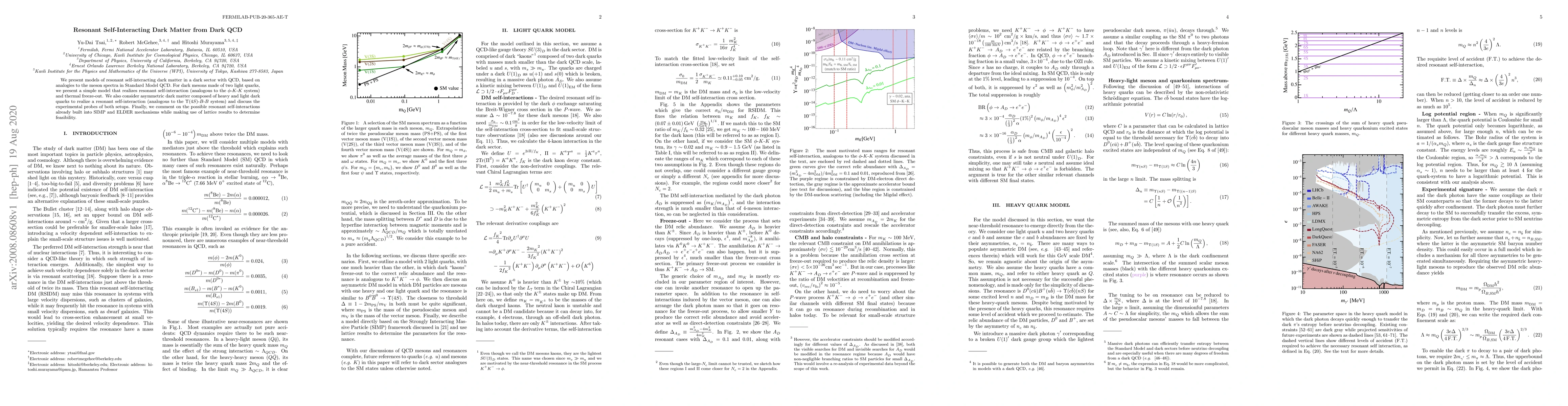 Thumbnail for Resonant Self-Interacting Dark Matter from Dark QCD
