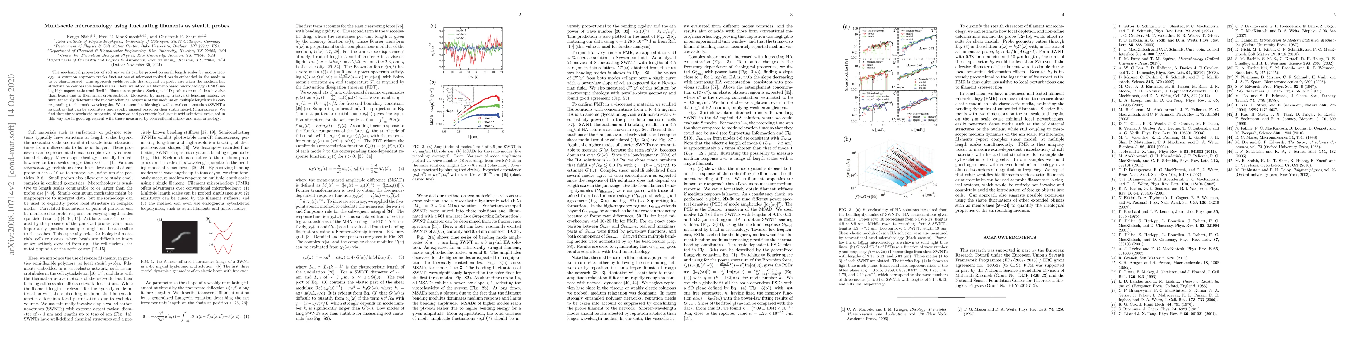 Thumbnail for Multi-scale microrheology using fluctuating filaments as stealth probes