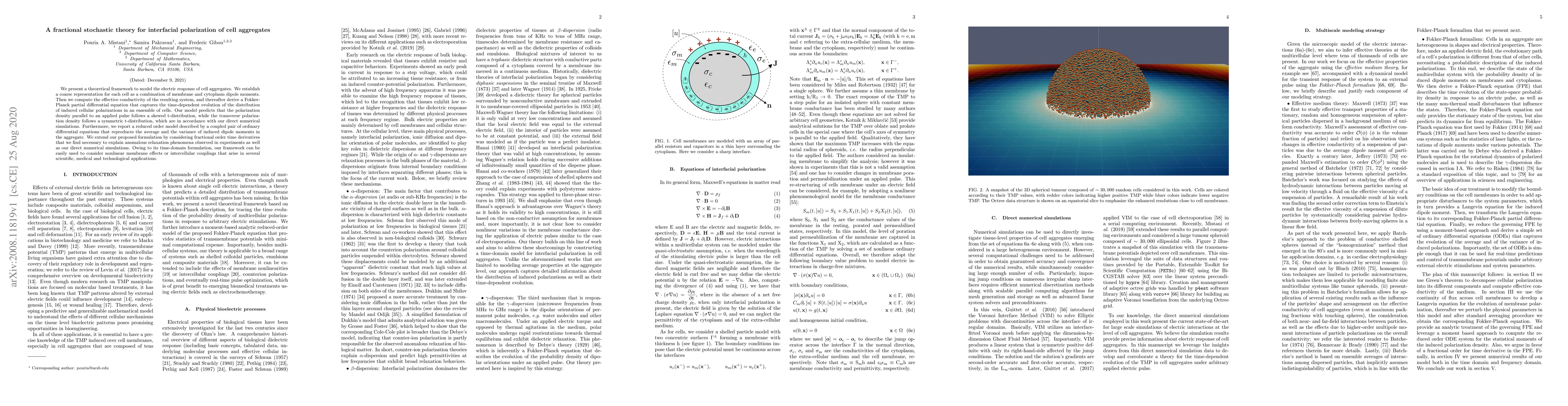 Thumbnail for A fractional stochastic theory for interfacial polarization of cell
  aggregates