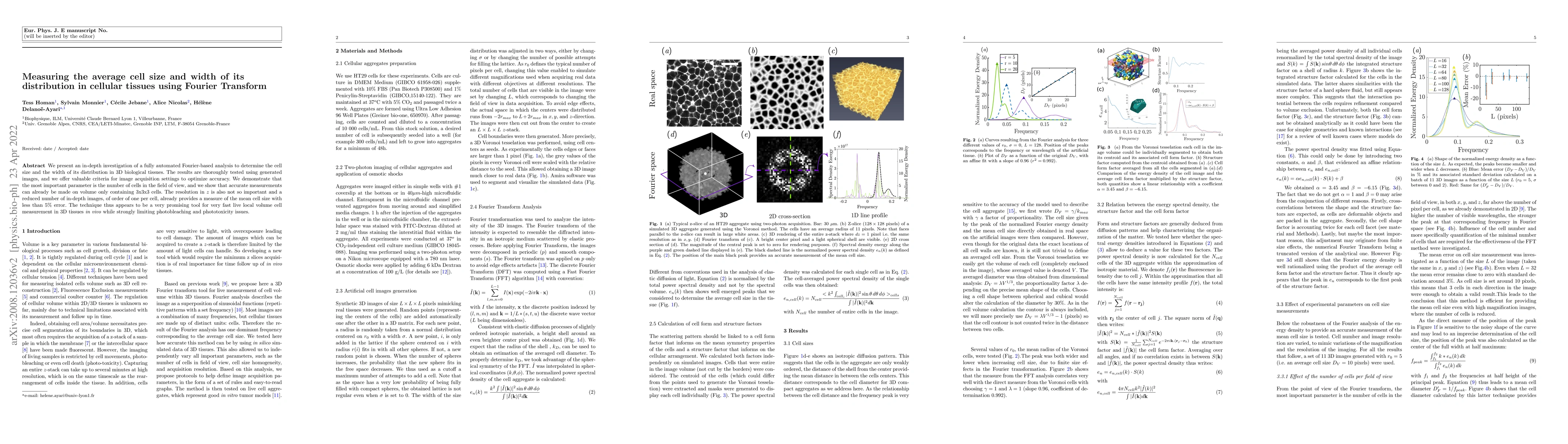 Thumbnail for Measuring the average cell size and width of its distribution in
  cellular tissues using Fourier Transform