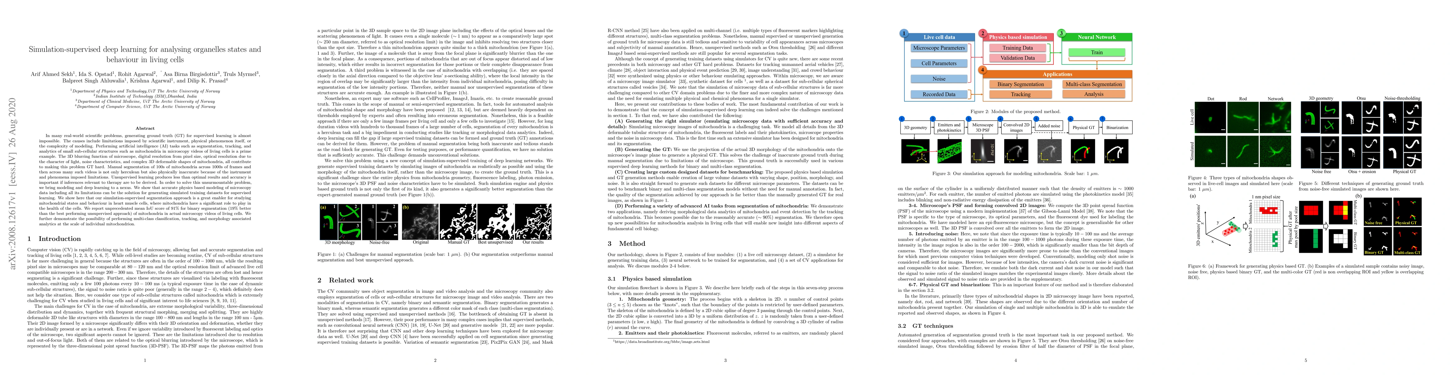 Thumbnail for Simulation-supervised deep learning for analysing organelles states and
  behaviour in living cells