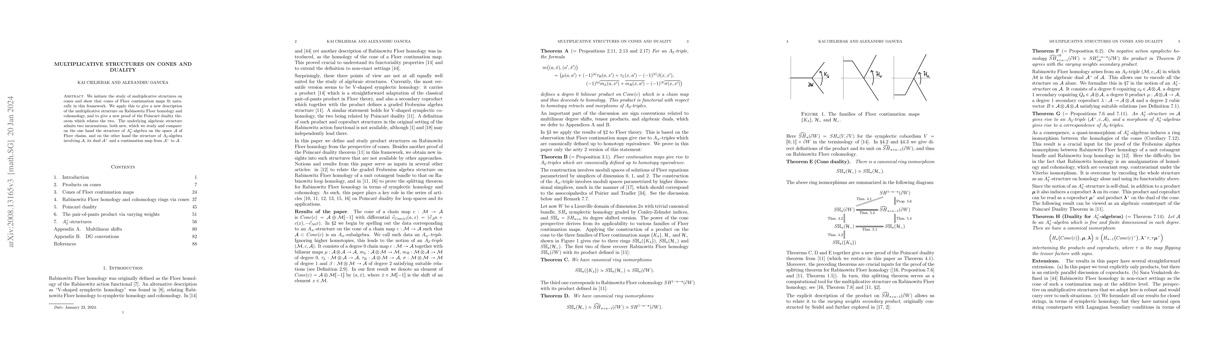 Thumbnail for Multiplicative structures on cones and duality