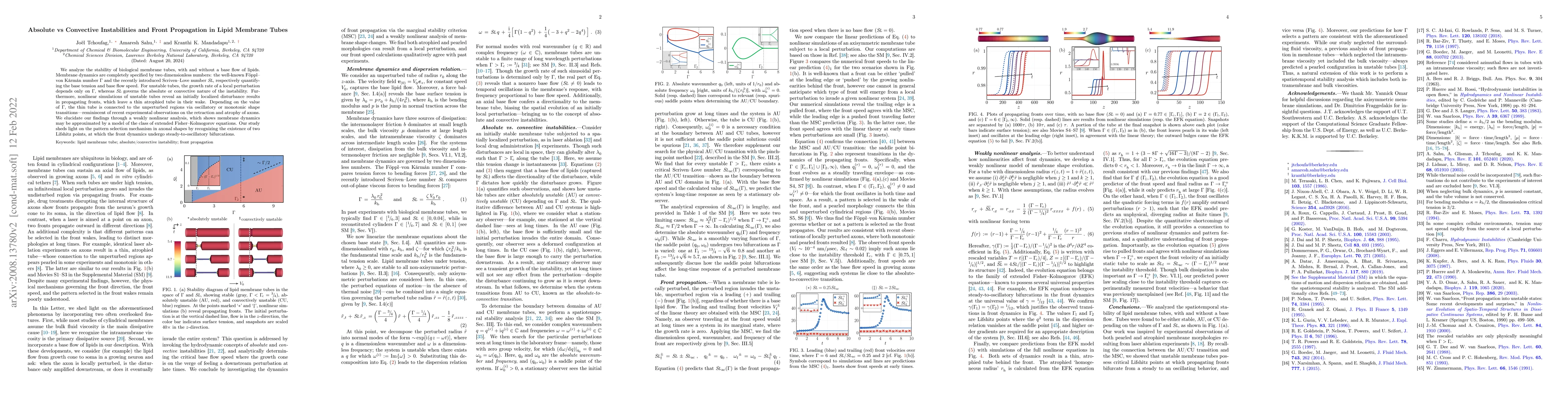 Thumbnail for Absolute vs Convective Instabilities and Front Propagation in Lipid
  Membrane Tubes