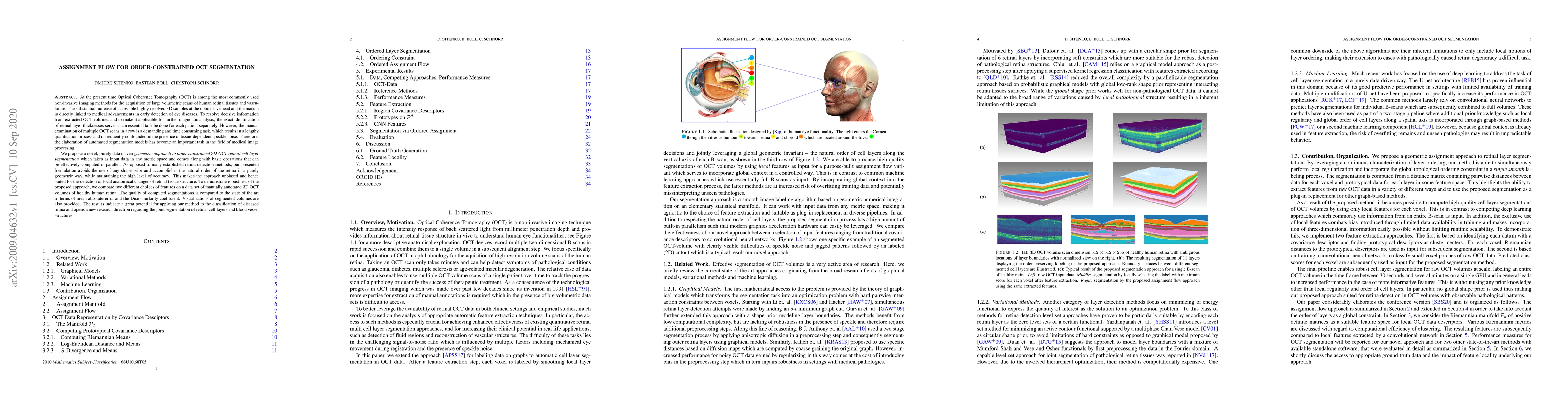 Thumbnail for Assignment Flow for Order-Constrained OCT Segmentation