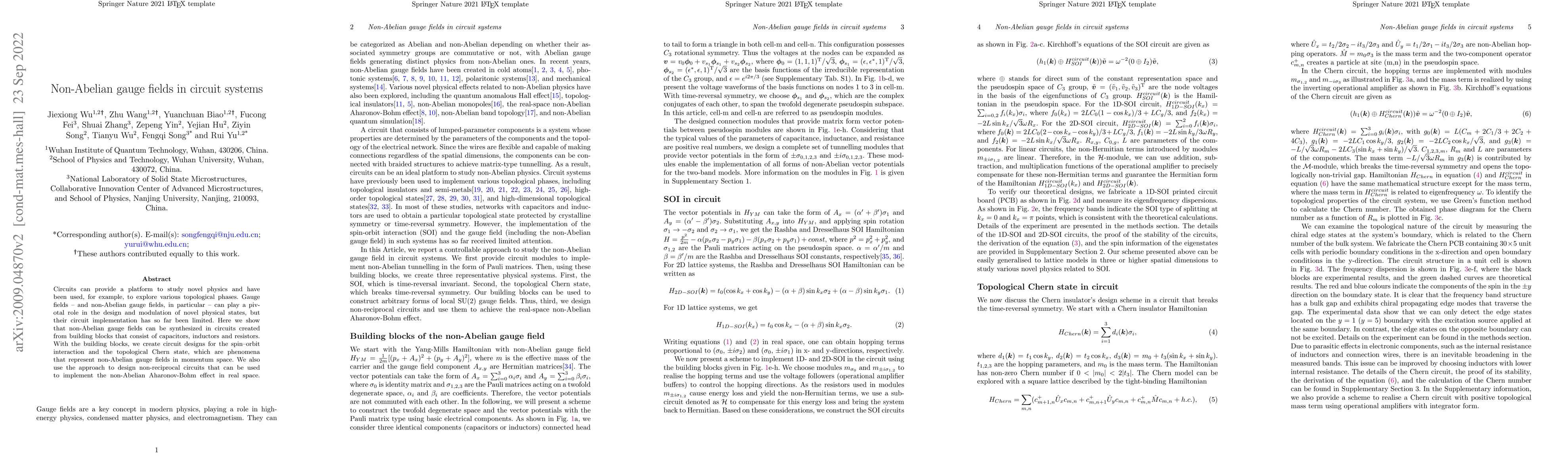 Thumbnail for Non-abelian gauge fields in circuit systems