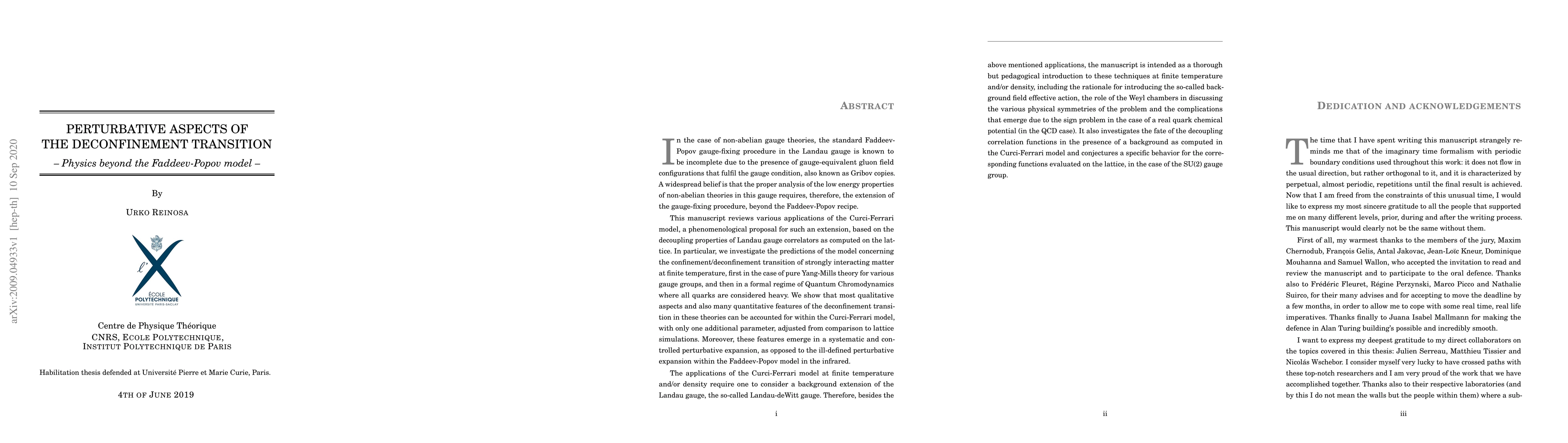 Thumbnail for Perturbative aspects of the deconfinement transition -- Physics beyond
  the Faddeev-Popov model