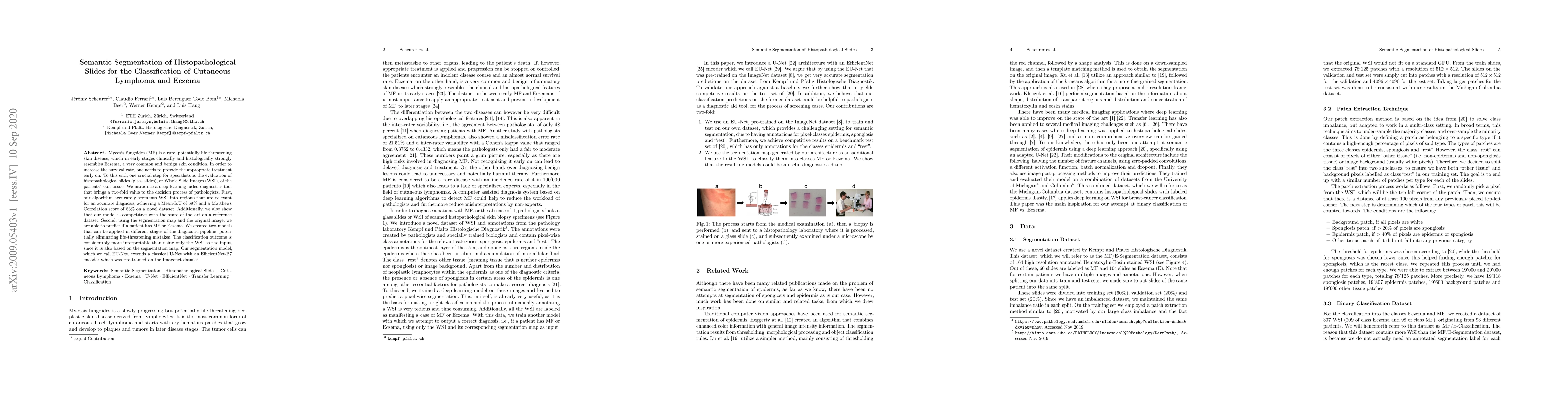 Thumbnail for Semantic Segmentation of Histopathological Slides for the Classification
  of Cutaneous Lymphoma and Eczema