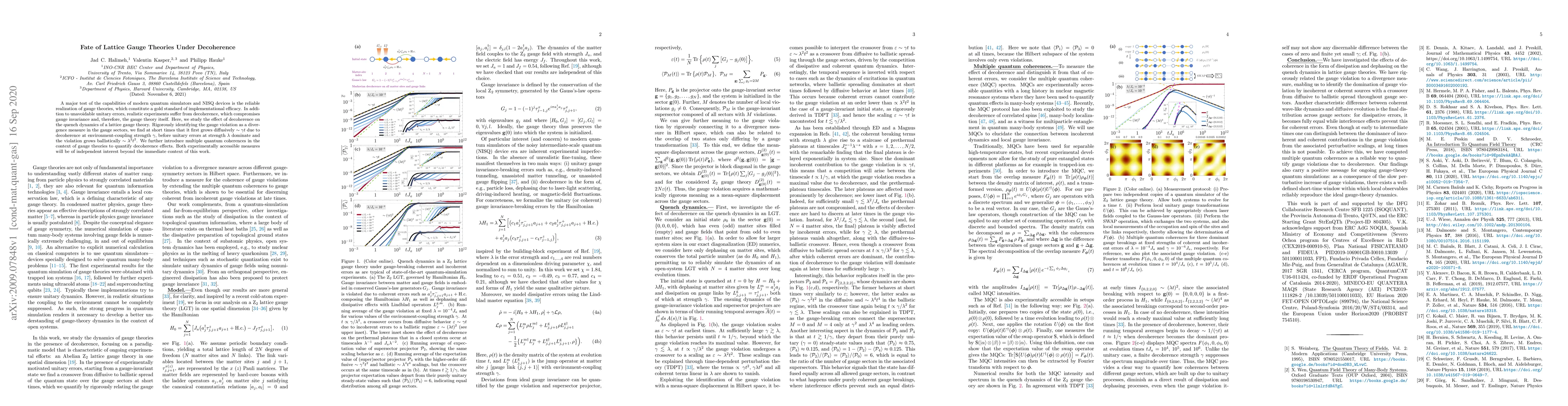 Thumbnail for Fate of Lattice Gauge Theories Under Decoherence