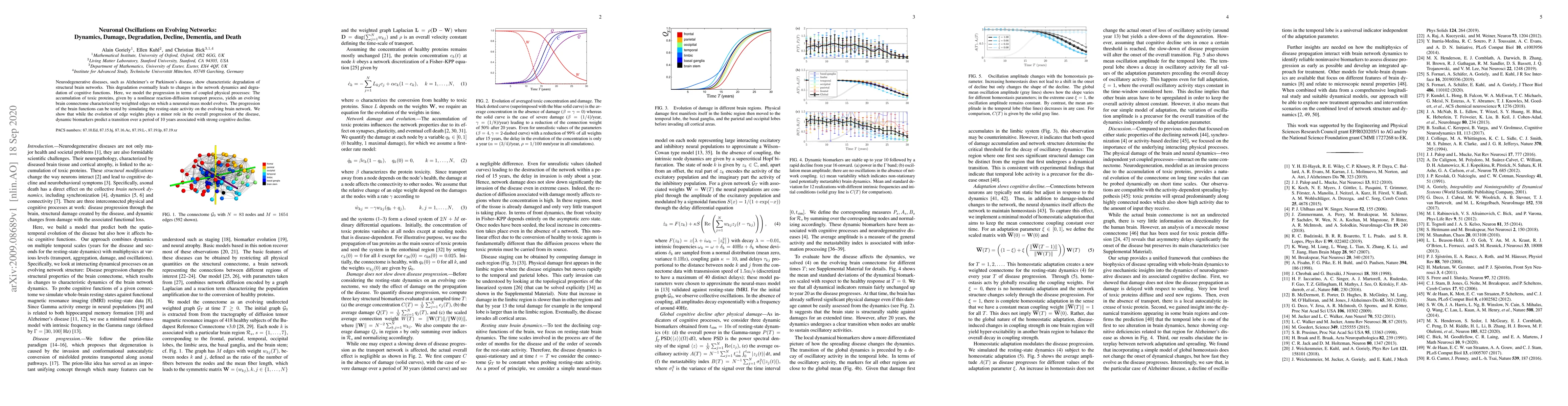 Thumbnail for Neuronal Oscillations on Evolving Networks: Dynamics, Damage,
  Degradation, Decline, Dementia, and Death