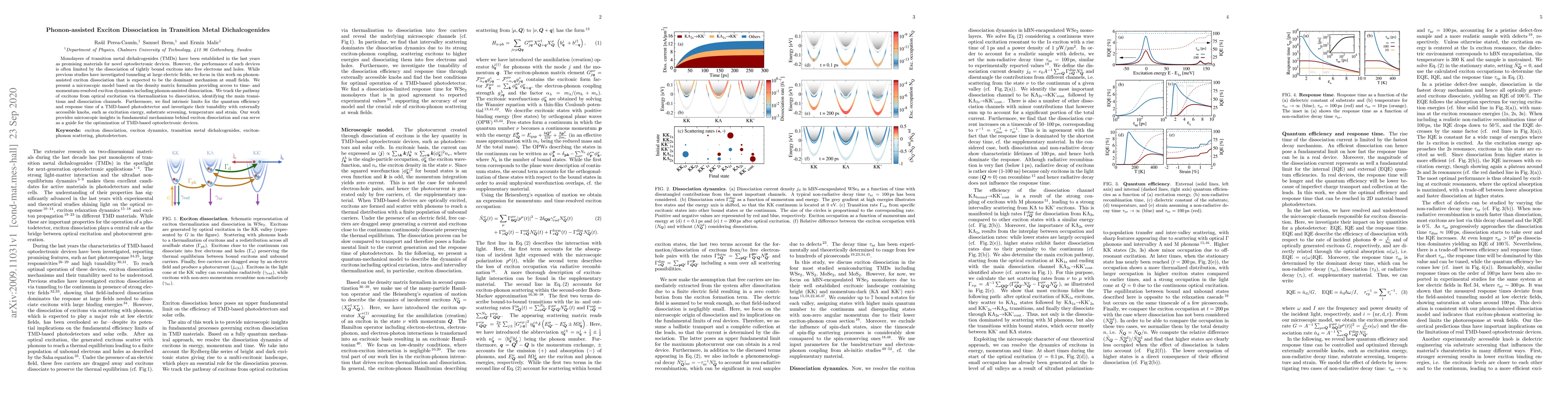 Thumbnail for Phonon-assisted Exciton Dissociation in Transition Metal Dichalcogenides