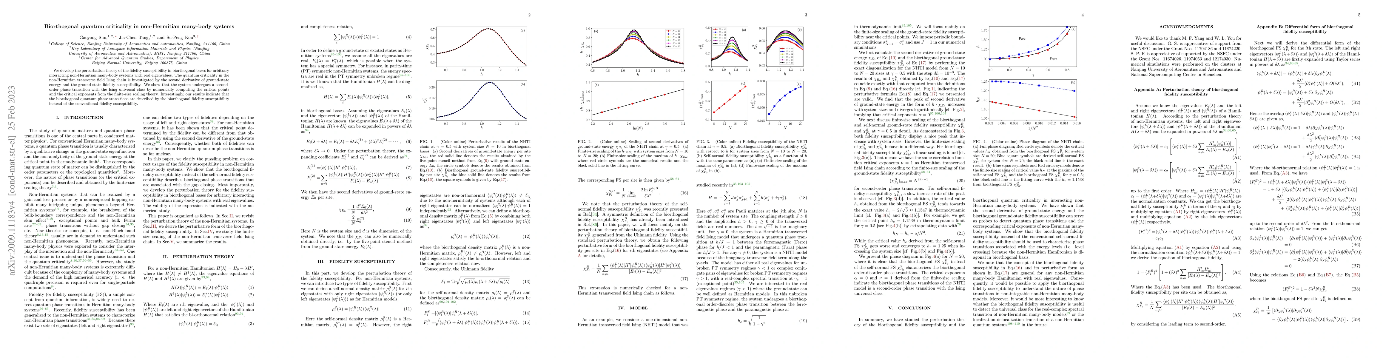 Thumbnail for Biorthogonal quantum criticality in non-Hermitian many-body systems