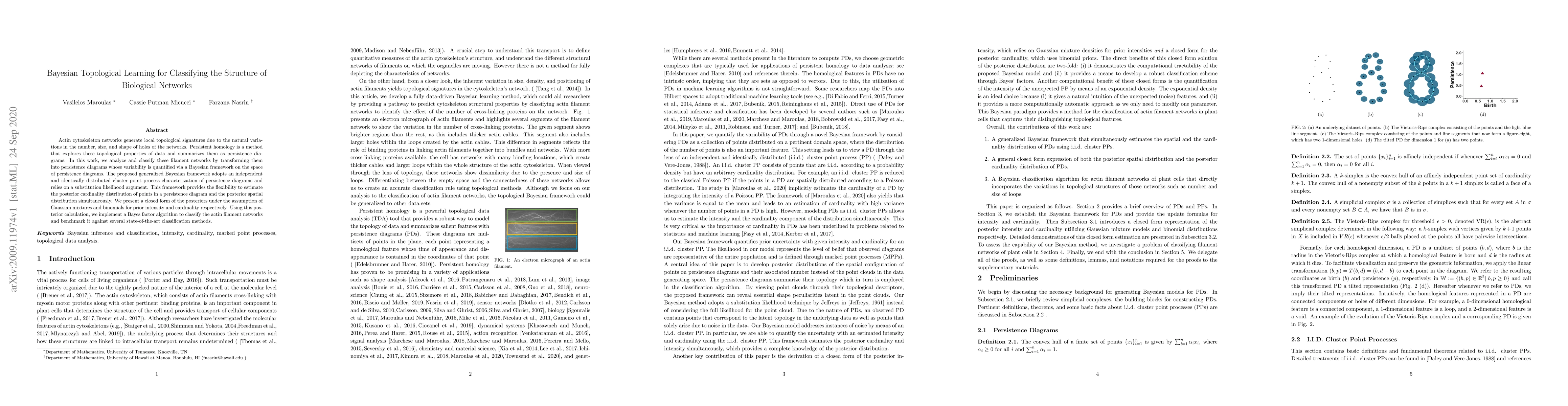 Thumbnail for Bayesian Topological Learning for Classifying the Structure of
  Biological Networks