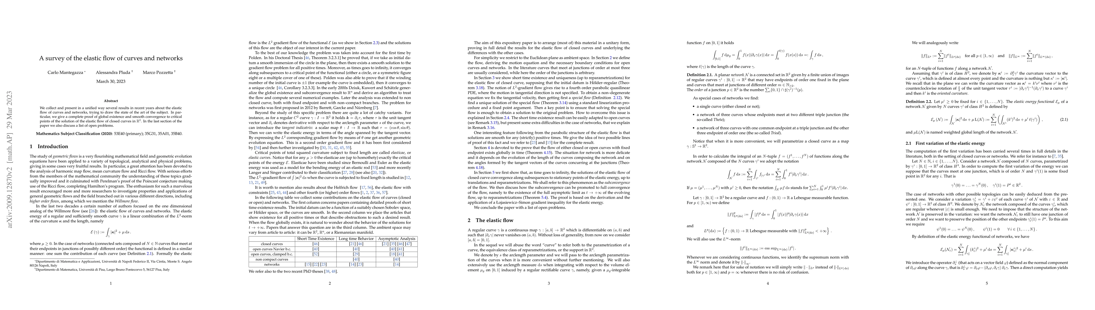 Thumbnail for A survey of the elastic flow of curves and networks