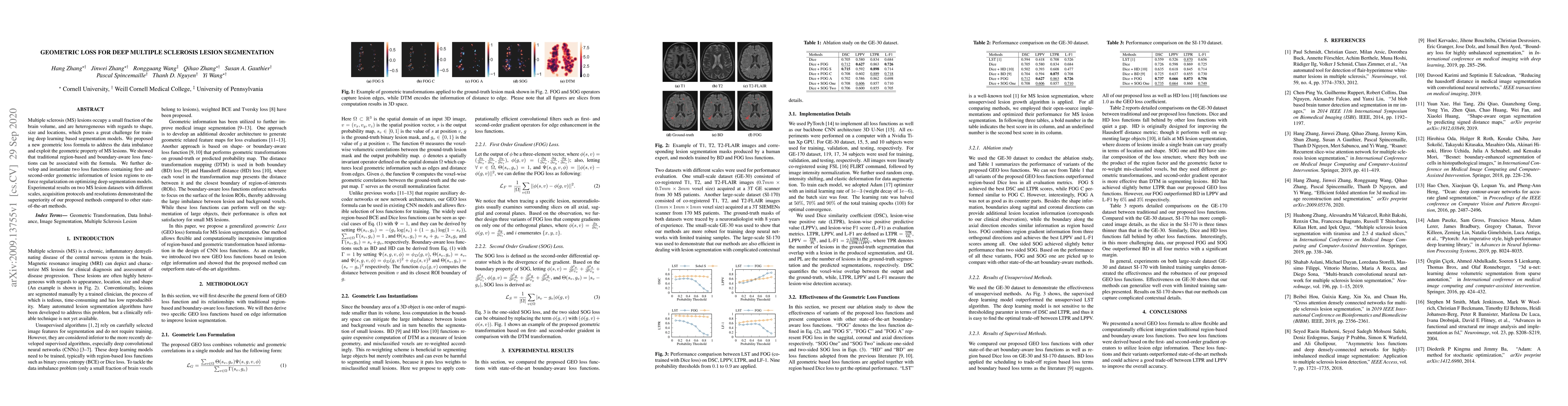 Thumbnail for Geometric Loss for Deep Multiple Sclerosis lesion Segmentation