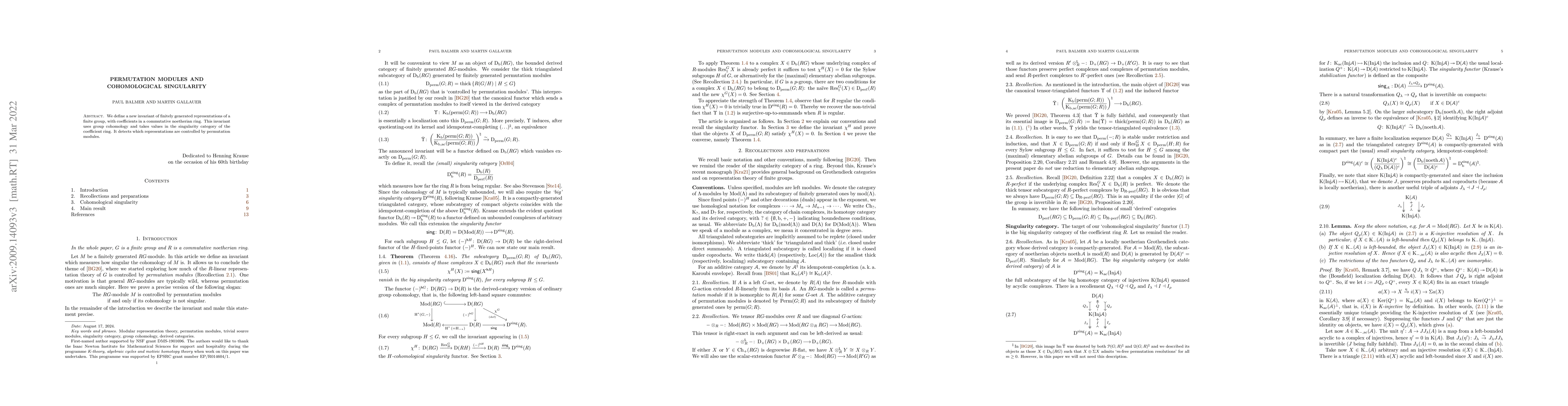 Thumbnail for Permutation modules and cohomological singularity