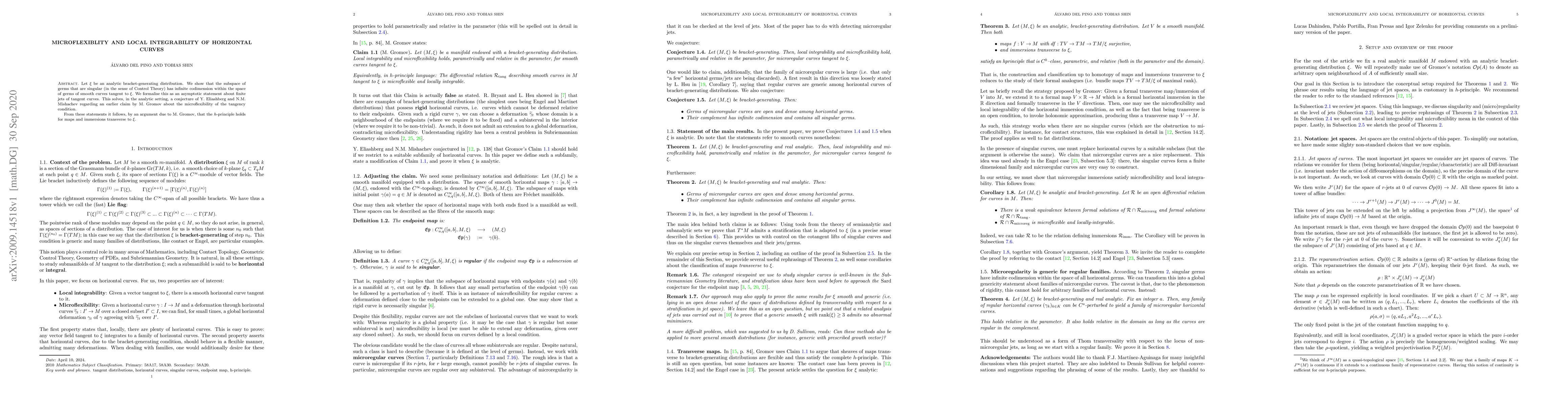 Thumbnail for Microflexiblity and local integrability of horizontal curves