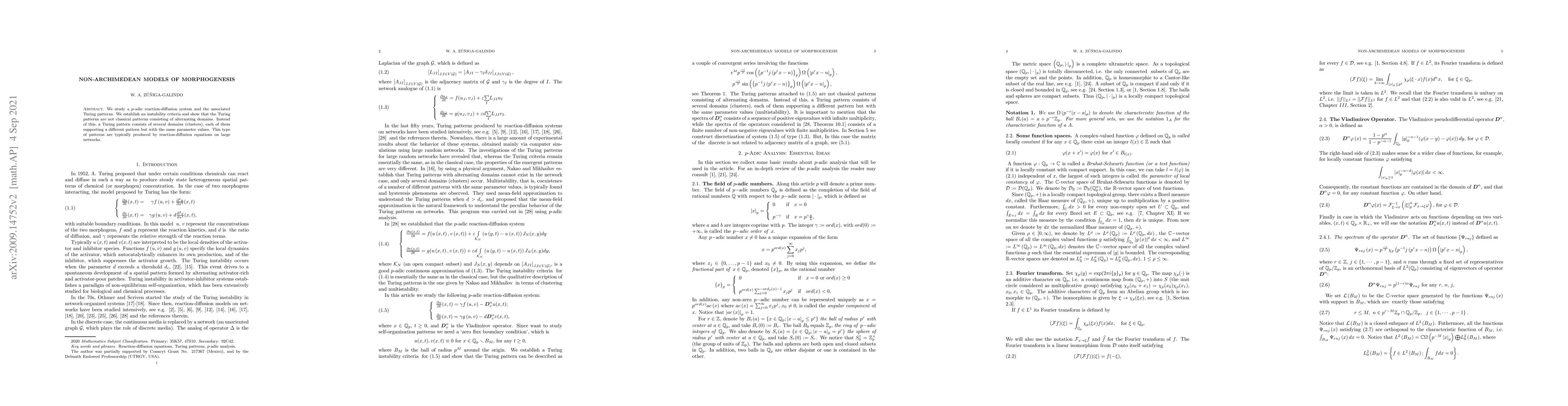 Thumbnail for Non-Archimedean Models of Morphogenesis