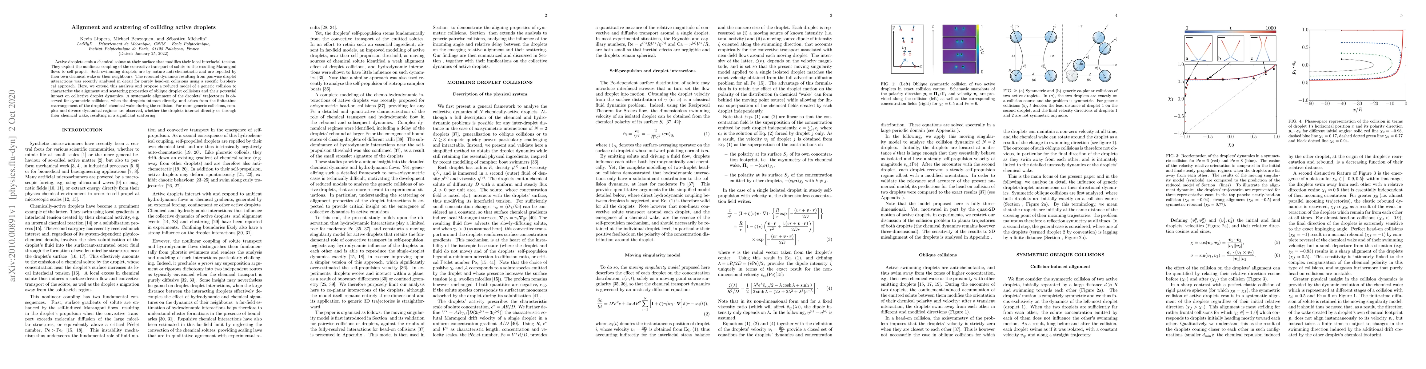 Thumbnail for Alignment and scattering of colliding active droplets